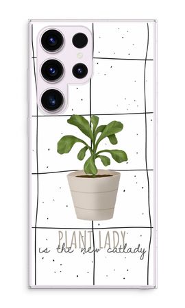 Houseplant on windowpane