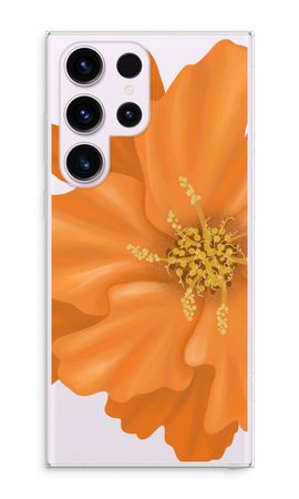 Orange Ellila flower