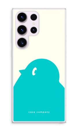 BIG Robin 1