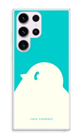 BIG Robin 2