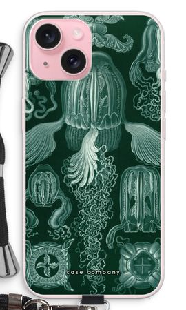 Haeckel Cubomedusae