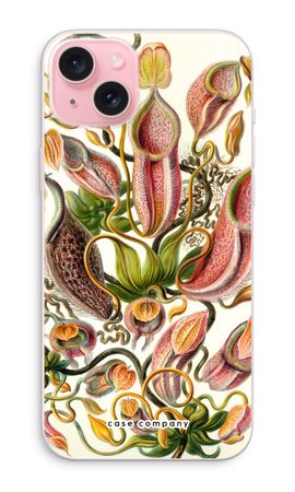 Haeckel Nepenthaceae