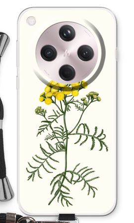 Tansy