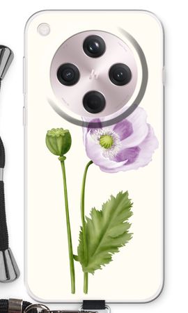 Purple poppy