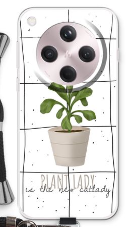 Houseplant on windowpane