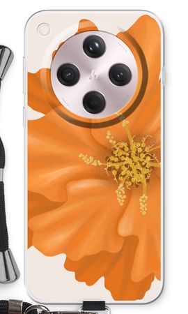 Orange Ellila flower