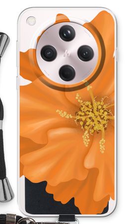 Orange Ellila flower