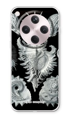 Haeckel Prosobranchia