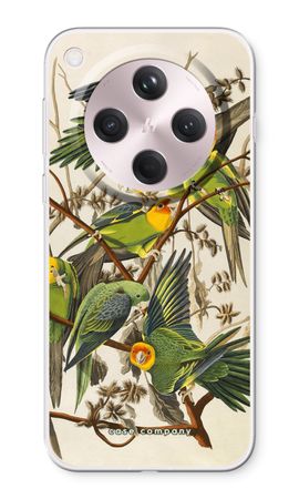 Carolina Parrot