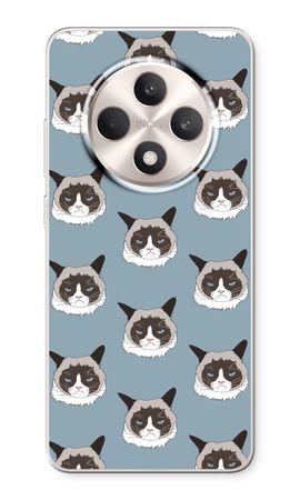 Non Sono Arrabbiato, Sono Solo un Gatto!