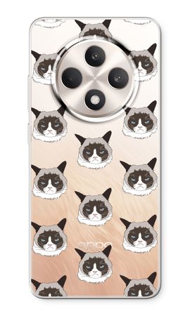 Non Sono Arrabbiato, Sono Solo un Gatto!