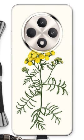 Tansy