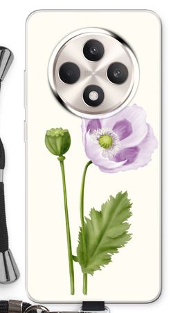 Purple poppy