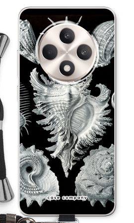 Haeckel Prosobranchia