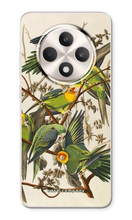 Carolina Parrot