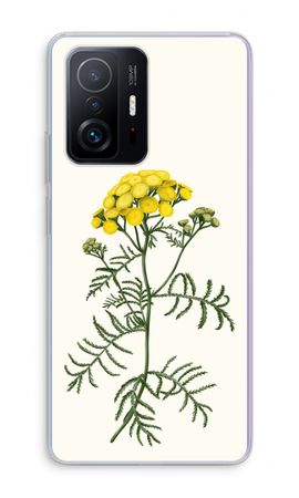 Tansy