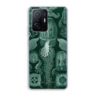 Haeckel Cubomedusae