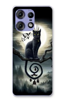 Moonlight Companions