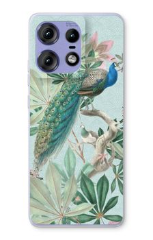 Paradise Garden Peacock