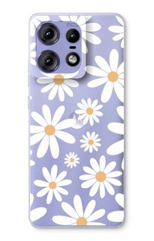 Wieder Gänseblümchen