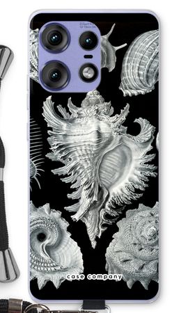 Haeckel Prosobranchia