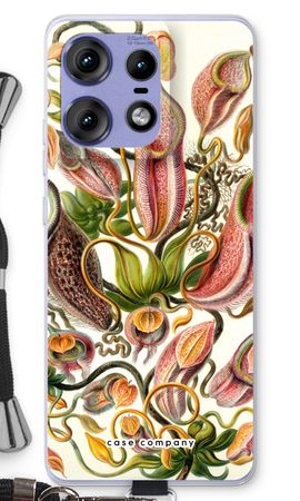 Haeckel Nepenthaceae