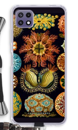 Haeckel Ascidiae