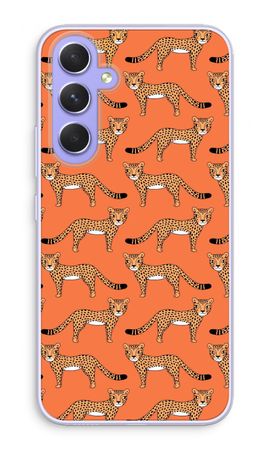 Cheetah