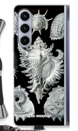 Haeckel Prosobranchia