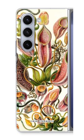 Haeckel Nepenthaceae