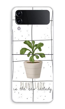 Houseplant on windowpane