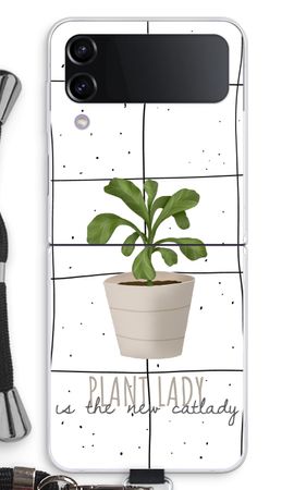 Houseplant on windowpane