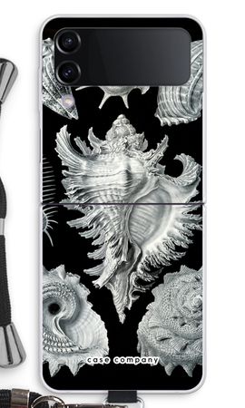 Haeckel Prosobranchia