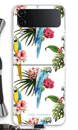 Färgglada papegojor