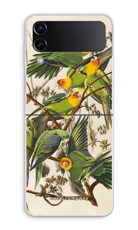 Carolina Parrot