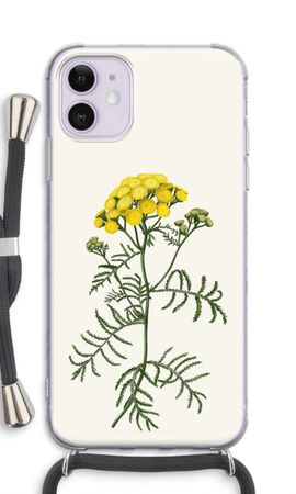 Tansy