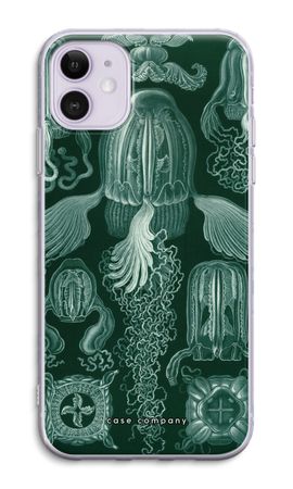 Haeckel Cubomedusae