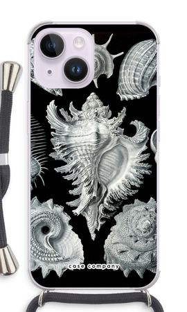 Haeckel Prosobranchia