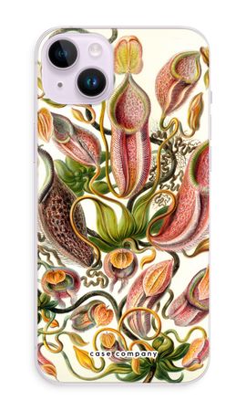 Haeckel Nepenthaceae