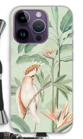 Tropical Parrot