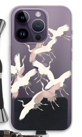 Japanese Crane Birds