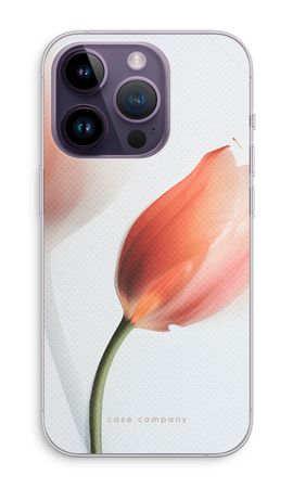 Tulip