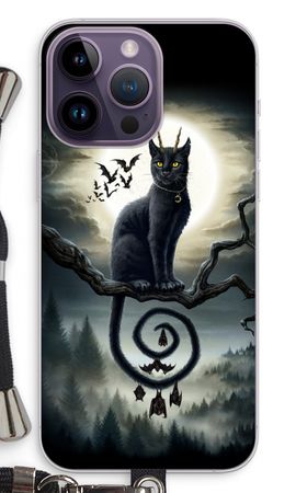 Moonlight Companions