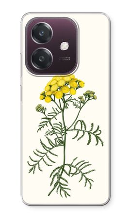 Tansy