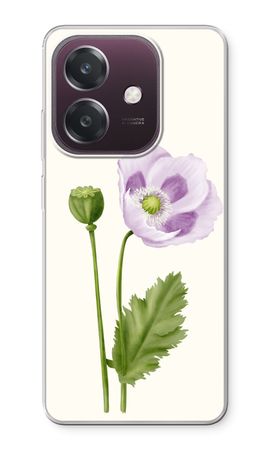 Purple poppy
