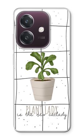 Houseplant on windowpane
