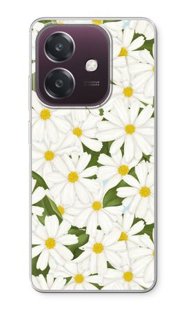 Summer Daisies