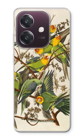 Carolina Parrot