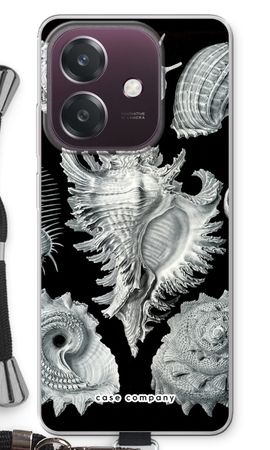 Haeckel Prosobranchia