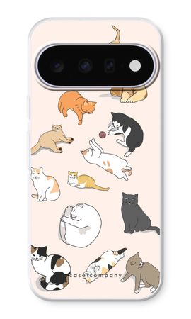 Cats